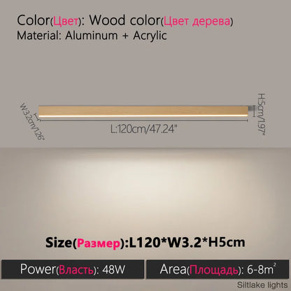 Modern Nordic LED Ceiling Light